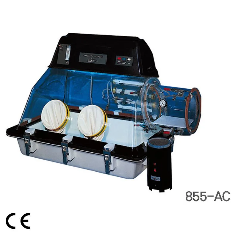 혐기성 조건 글러브 박스, Anaerobic Chamber PLAS DAU-GGLOVCAB